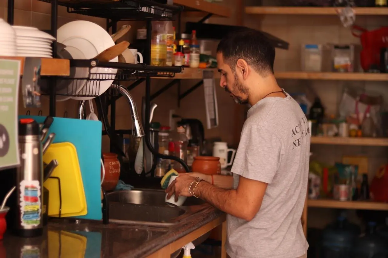 Hostel Leveli Coliving Guadalajara Mexiko