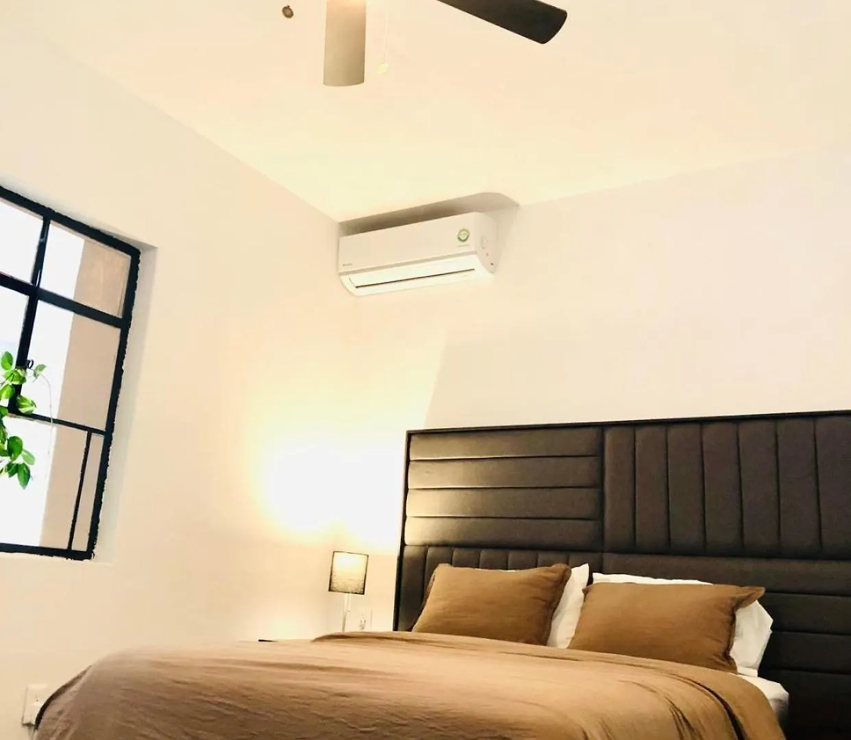 Hostel Leveli Coliving Guadalajara Mexiko