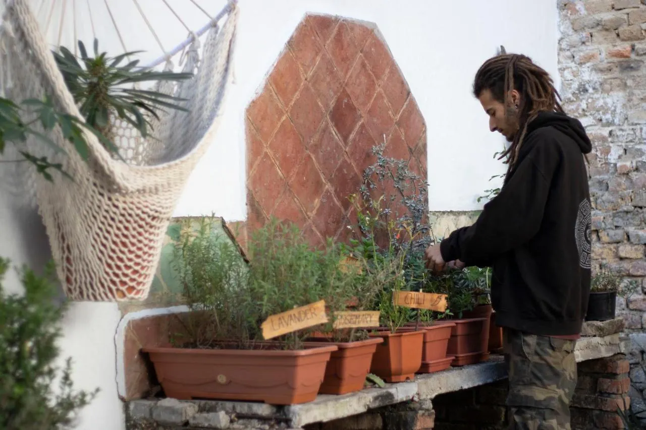 Albergue Leveli Coliving Guadalajara 0*,